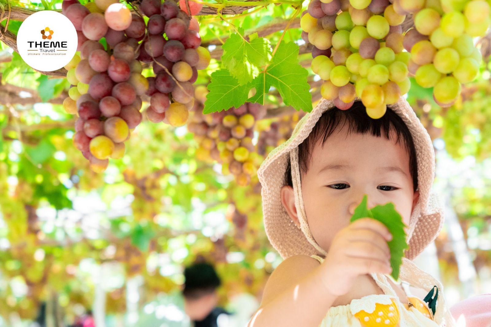 Tour Ninh Thuận 3N2D