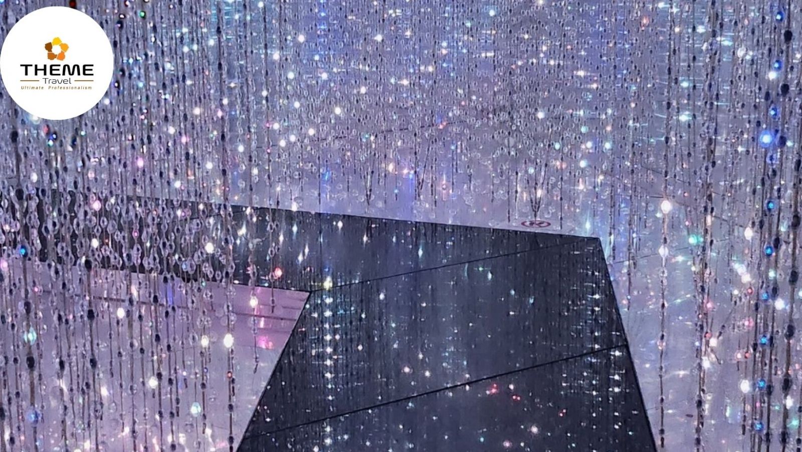 tour tham quan thành phố ánh sáng Jazzy Paradise - tour học sinh